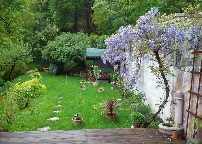 Tagrajska Daire Ljubljana